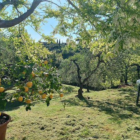 Le Massucce San Casciano in Val di Pesa Exteriör bild