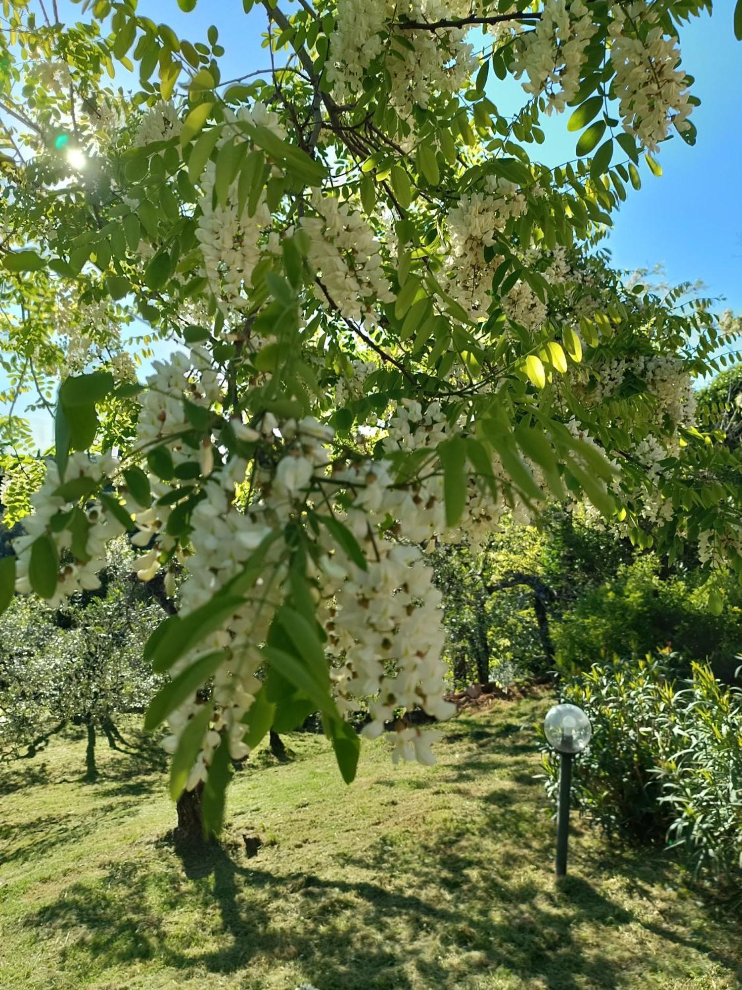 Le Massucce San Casciano in Val di Pesa Exteriör bild