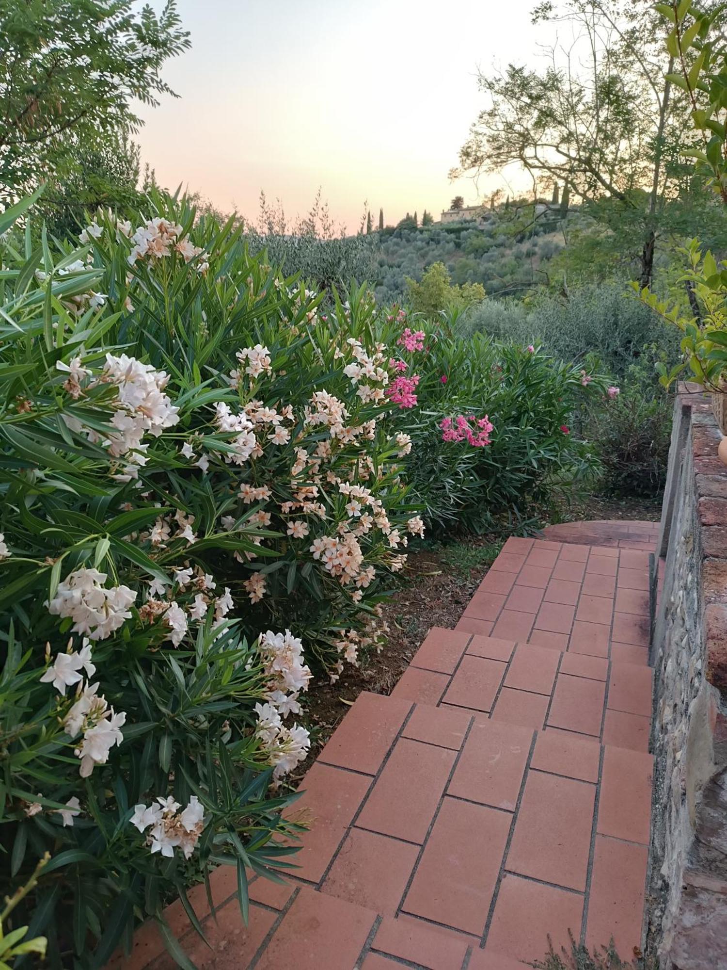 Le Massucce San Casciano in Val di Pesa Exteriör bild
