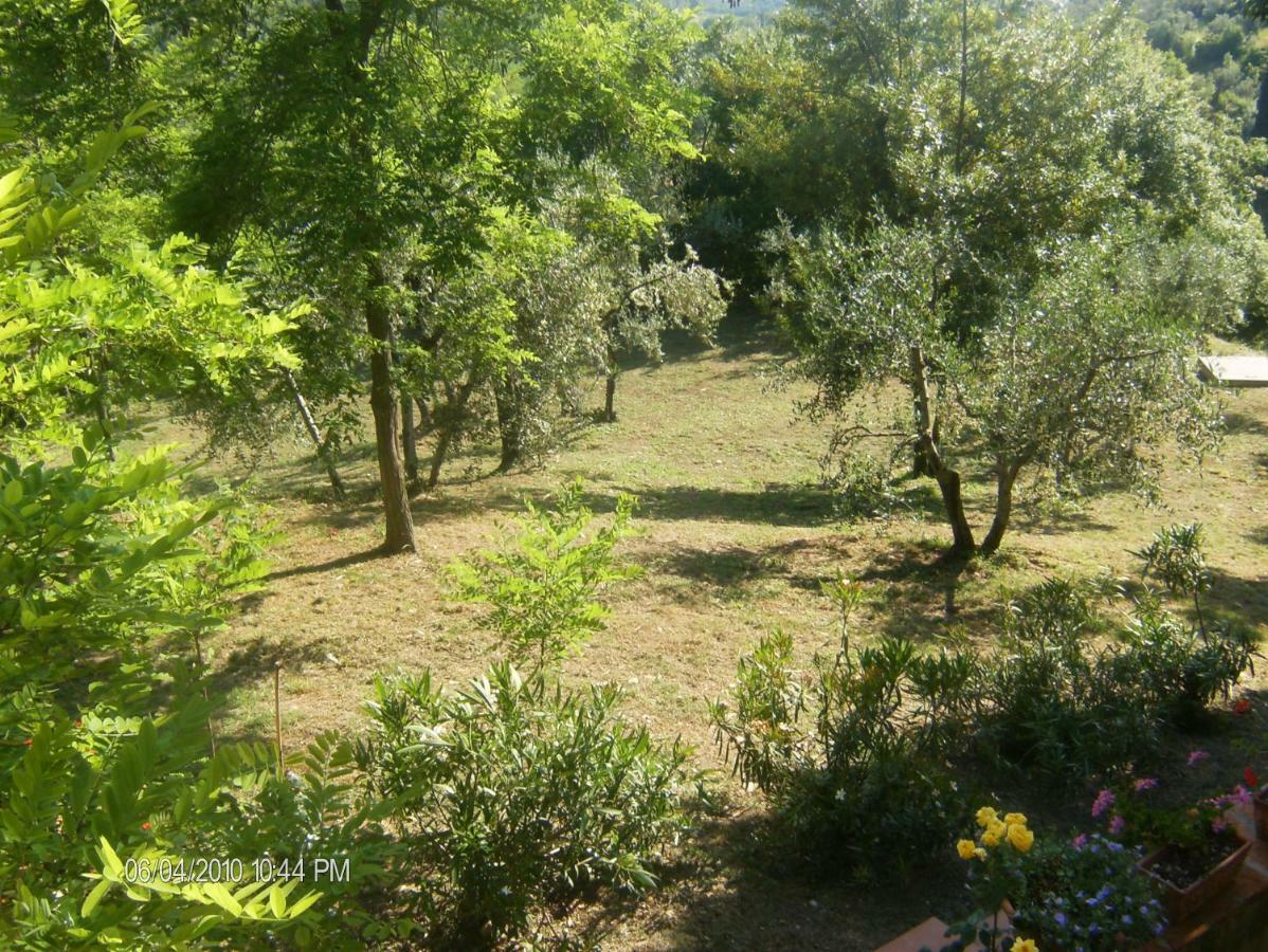 Le Massucce San Casciano in Val di Pesa Exteriör bild