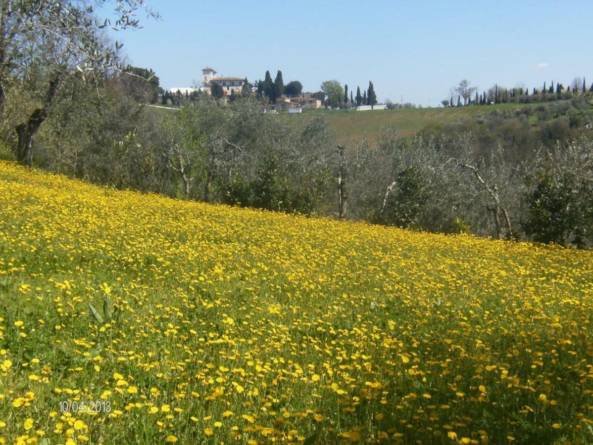 Le Massucce San Casciano in Val di Pesa Exteriör bild